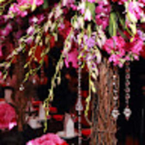 Meet your Posher, Alisha